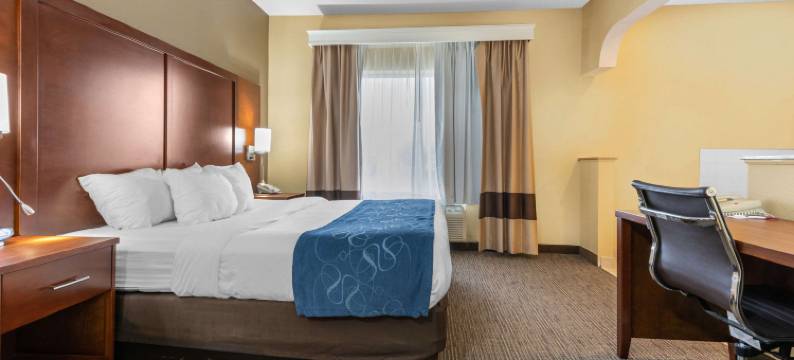 芬德利I-75舒适套房靠近体育综合体(Comfort Suites Findlay I-75 Near Sports Complex)图片