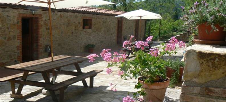 乡村托斯卡纳风格的公寓(Rustic Tuscan Style Apartment)图片