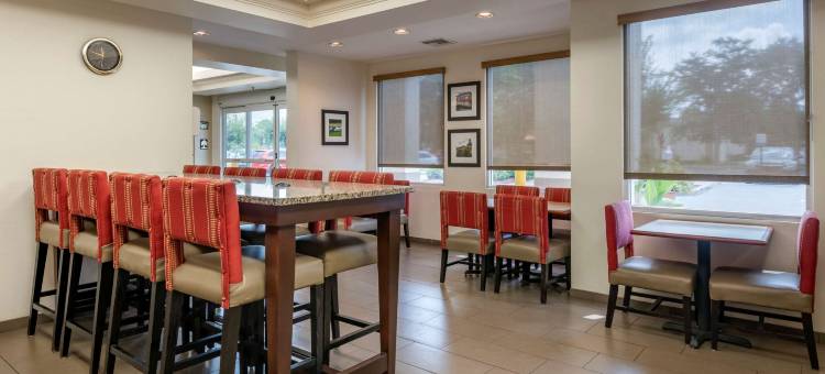 舒适套房酒店-近迪兰大学(Comfort Inn & Suites DeLand - Near University)图片