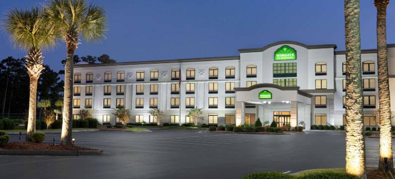 威尔明顿蔚景温德姆酒店(Wingate by Wyndham Wilmington)图片