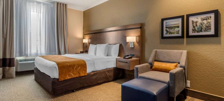 贝敦I10舒适套房酒店(Comfort Suites Baytown I – 10)图片