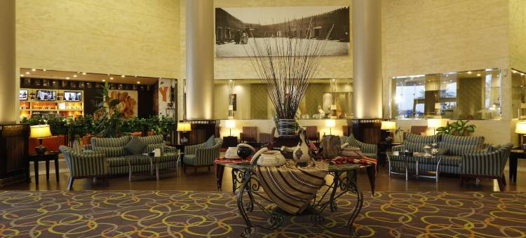 郁锦香欢呼酒店(Golden Tulip Hail)图片