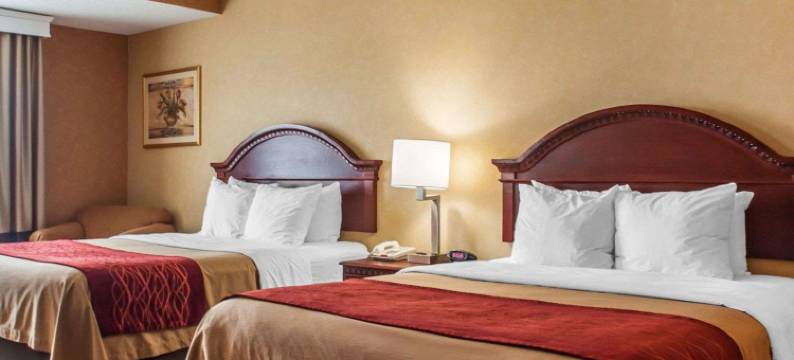 沃尔登广场购物中心附近凯艺酒店(Quality Inn Near Walden Galleria Mall)图片