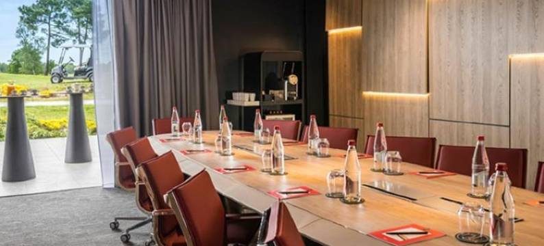 Cabot Bordeaux MGallery Collection图片