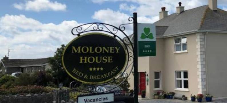 莫洛尼之家住宿加早餐旅馆(Moloney House)图片