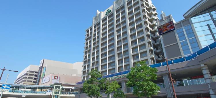 尼崎比偲奇酒店(Hotel Vischio Amagasaki by Granvia)图片