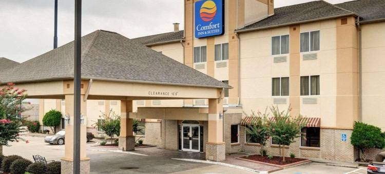 康威舒适套房酒店(Comfort Inn & Suites Conway)图片