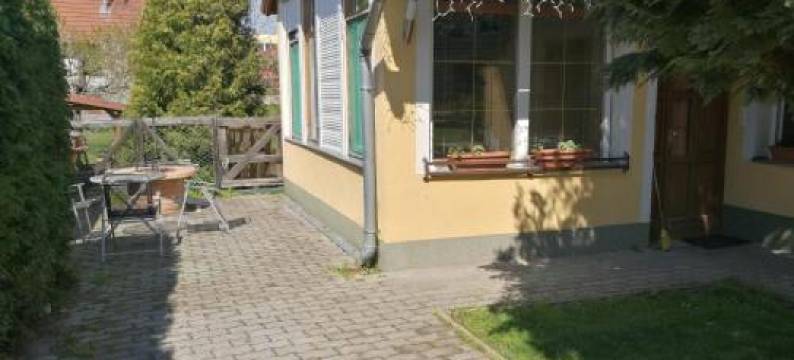 Gergely Vendeghaz图片