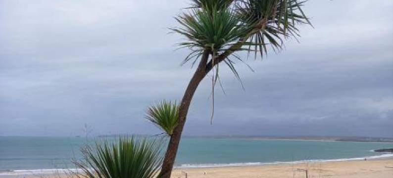 Stargazy Shepherds Hut图片