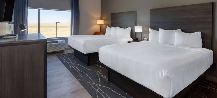 La Quinta Inn & Suites by Wyndham Holbrook Petrified Forest图片
