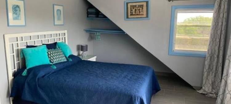 Turtles Nest Bahamas图片