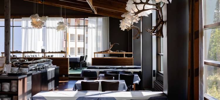 拉普兰萨迦酒店(Lapland Hotels Saaga)图片