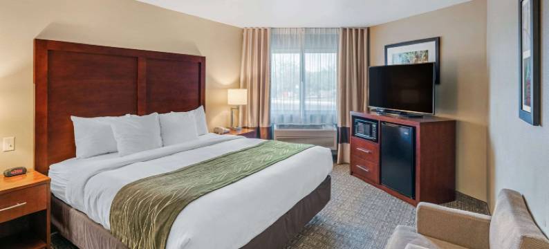 大学舒适酒店(Comfort Inn University)图片