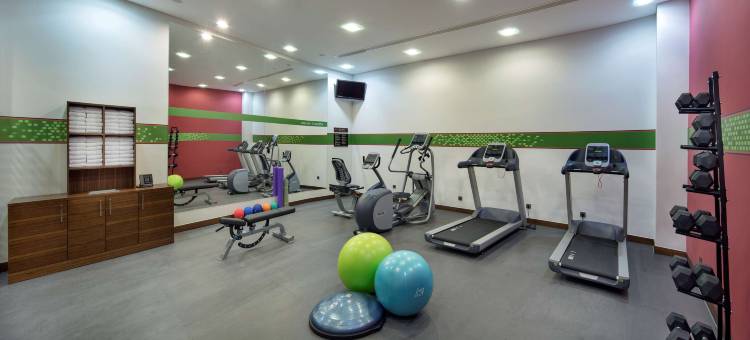 卡亚什尔希尔顿欢朋酒店(Hampton by Hilton Istanbul Kayasehir)图片
