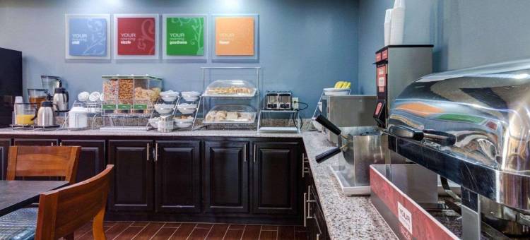 雷哈伯德湖舒适套房酒店(Comfort Suites Lake Ray Hubbard)图片