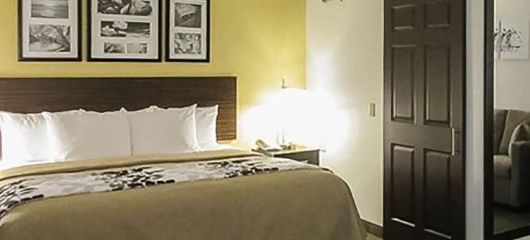 舒眠套房酒店(Sleep Inn & Suites)图片