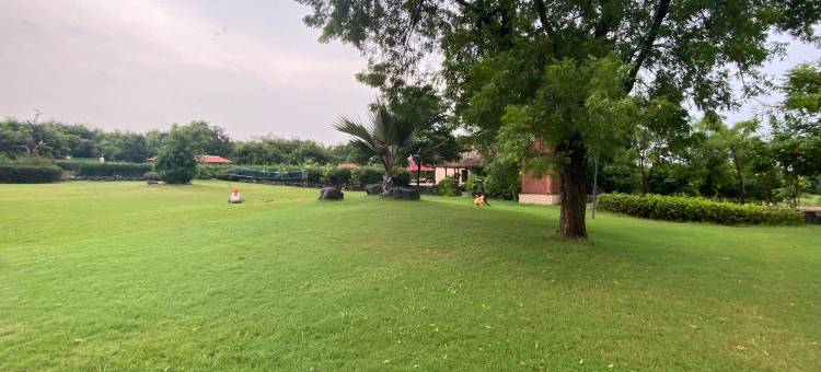 那格浦尔绿色天堂度假村(The Green Heaven Resort, Nagpur)图片