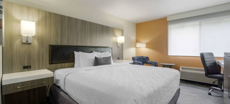 Best Western Plus Renton Inn图片
