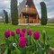 Chalet Velebitska Kuća