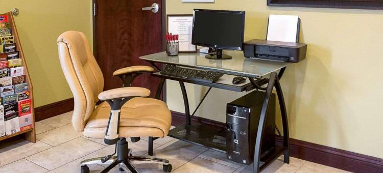 舒适套房酒店-哈维-新奥尔良西(Comfort Suites Harvey - New Orleans West)图片