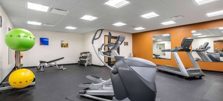 埃姆斯爱荷华州立大学校园附近舒适套房酒店(Comfort Inn and Suites Ames Near Isu Campus)图片