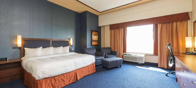 莱维斯品质套房酒店(Quality Inn & Suites)图片