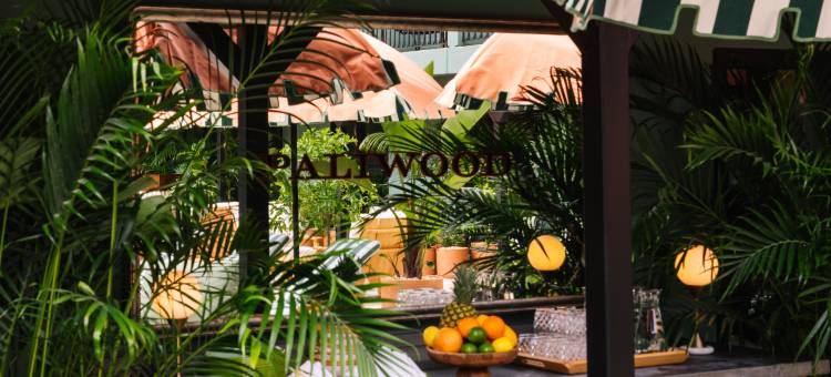 帕利好莱坞酒店，靠近环球影城(Palihotel Hollywood Near Universal Studios)图片