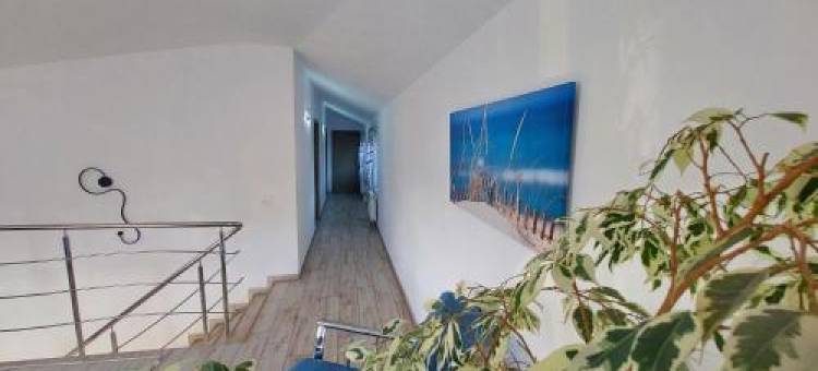 海马宾馆(SeaHorse GuestHouse)图片