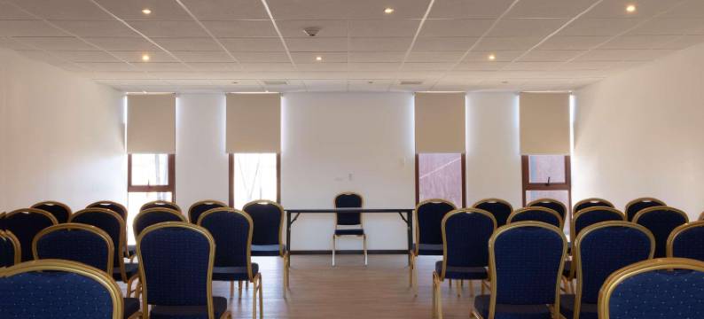 瓦勒纳尔罗斯奥利弗丽柏酒店(Park Inn by Radisson Los Olivos de Vallenar)图片