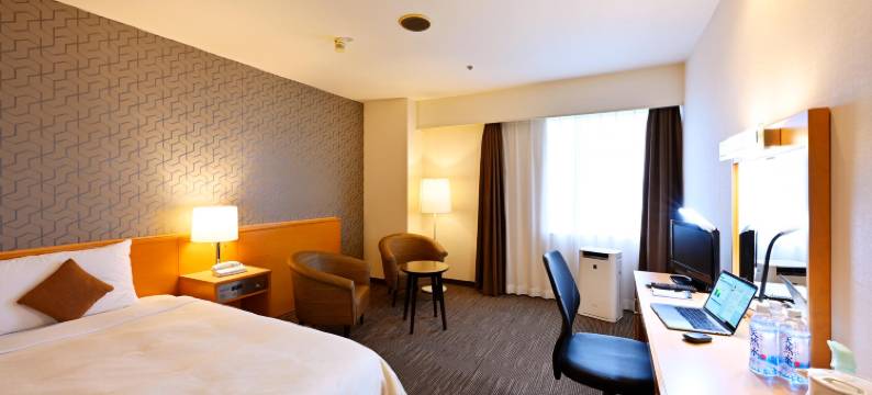 市谷阿尔卡迪亚酒店(Arcadia Ichigaya)图片