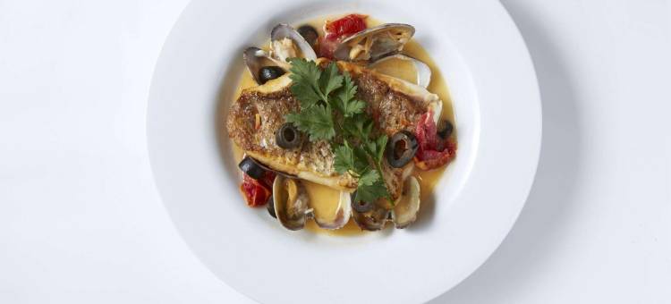 大阪本町androoms酒店(hotel androoms Osaka Hommachi)图片