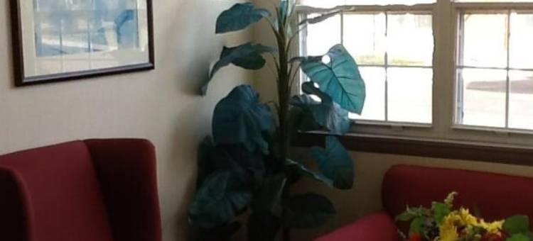 Microtel Inn & Suites by Wyndham Louisville East图片