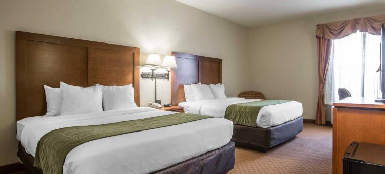 戈申米德尔敦万豪万枫酒店(Fairfield Inn & Suites Goshen Middletown)图片