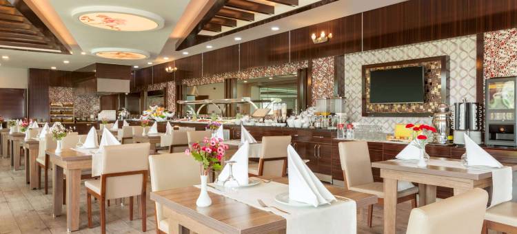 乌沙克温德姆华美达酒店(Ramada by Wyndham Usak)图片