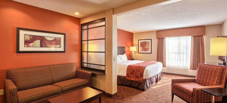 会议中心舒适酒店(Comfort Inn & Suites and Conference Center)图片