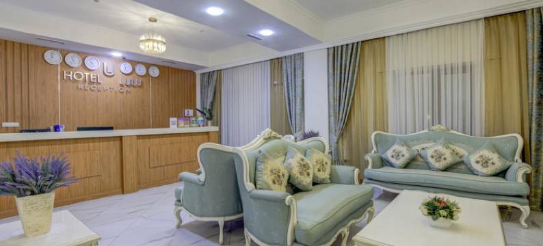 路路酒店(Hotel Lulu)图片