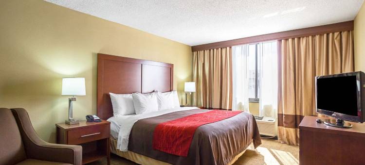 市中心舒适酒店(Comfort Inn Downtown)图片
