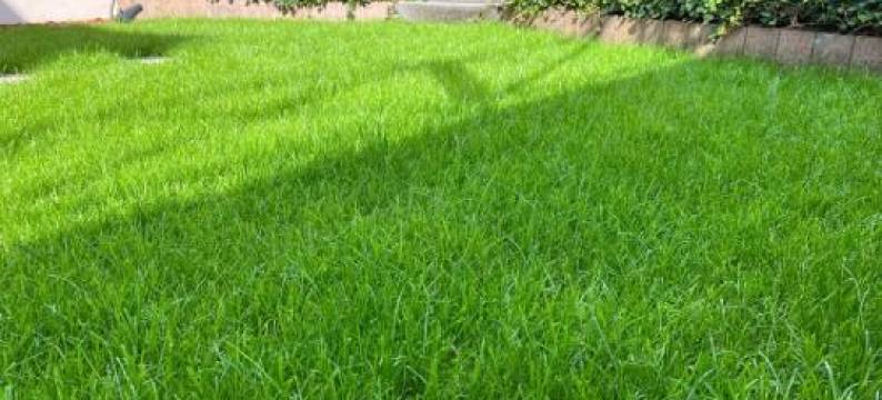 Phantasialand Family Apartment Erftstadt-Brühl-Cologne图片