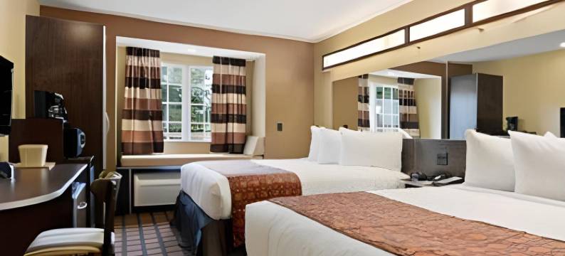 温德姆梅肯麦客达套房酒店(Microtel Inn & Suites by Wyndham Macon)图片