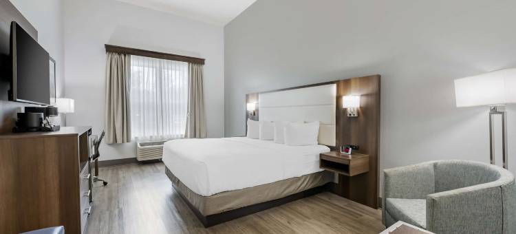 Best Western Plus First Coast Inn  Suites图片