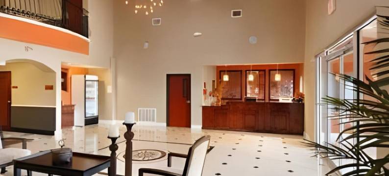 孤星旅馆及套房(Lone Star Inn & Suites)图片