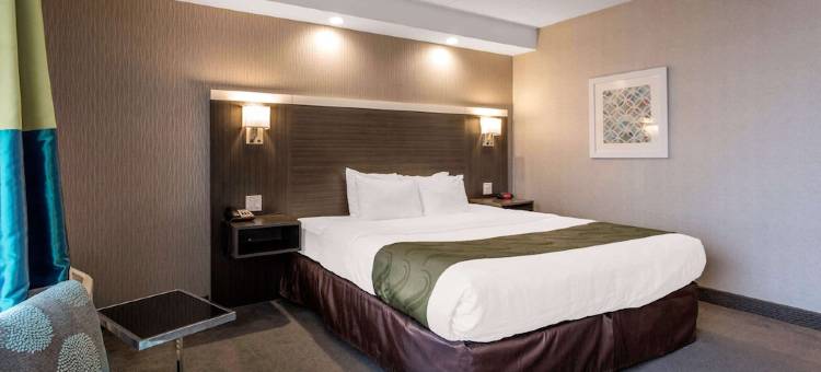 品质酒店(Quality Inn)图片