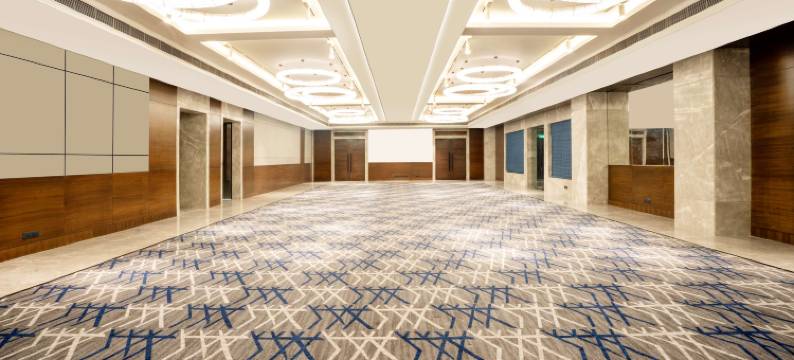 丽笙酒店弗林达文(Radisson Hotel Vrindavan)图片