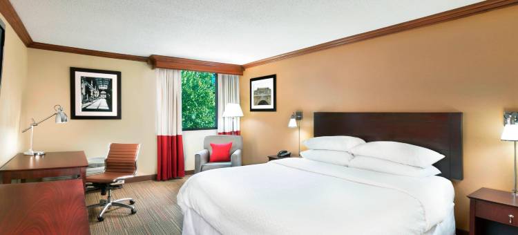 阿什维尔市中心福朋喜来登酒店(Four Points by Sheraton Asheville Downtown)图片