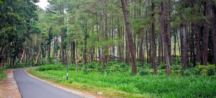 De Sidomulyo Guest House Syariah RedPartner图片