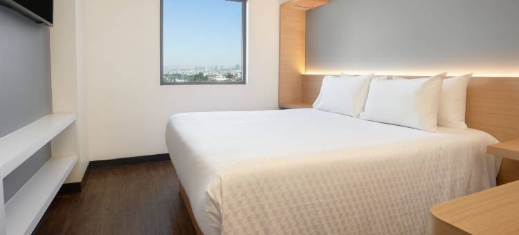 奎雷塔罗伽马酒店(Gamma Querétaro)图片
