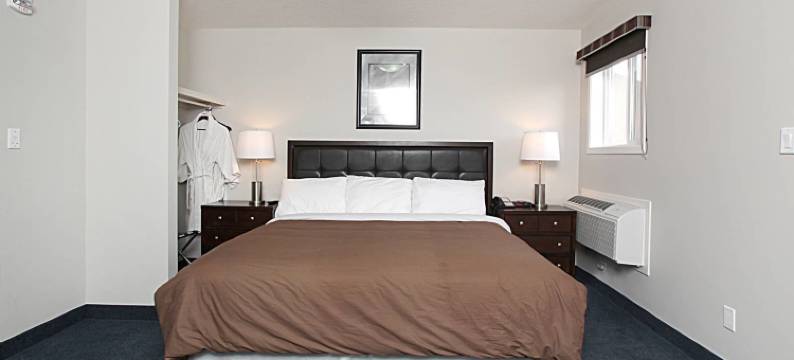 韦塔斯基温Travelodge by Wyndham酒店(Travelodge by Wyndham Wetaskiwin)图片