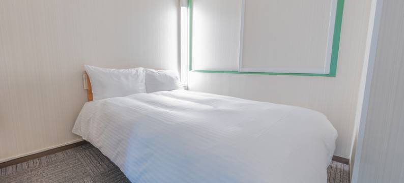 华盛顿R&B酒店-熊本下通(Washington R&B Hotel Kumamoto Shimotori)图片