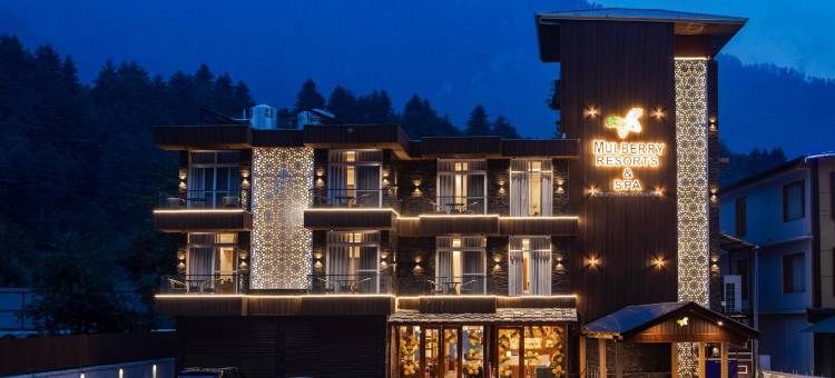 桑葚度假村，中央供暖精品隐居处(Mulberry Resort Centrally Heated Boutique Retreat)图片
