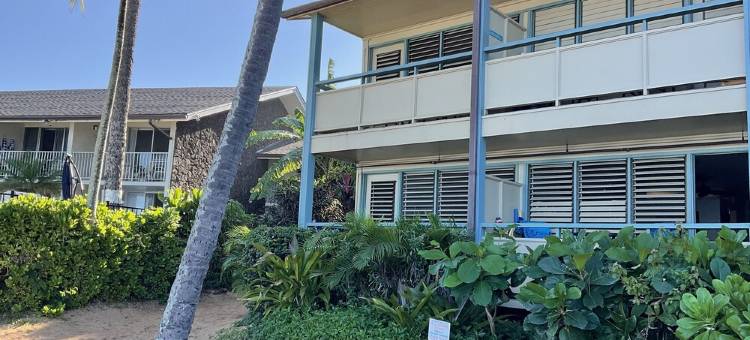 臻品#201, 纳皮利湾海滨! 顶层转角房, 公寓, 特惠!(Napili Bay Perfection #201, Top Floor, Corner Unit, On The Beach!  Specials!)图片